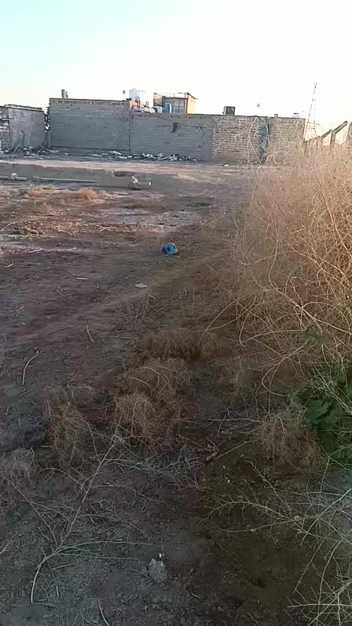 السلام عليكم كاع زراعية للبيع خلف طاقة الكهرباء قريبة على طريق الزوار 500م عن طريق الزوار المساحة 1000م مربعة شارعها 10م مسيجة يتوفر كافة الخدمات ماء كهرباء مولدة قريب عليها العنوان ديوانيه قريبه الخدم الجديد خلف الطاقه قريبه على نزل السامي انا حمد***********##@***********
