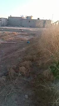 كاع زراعية • ١٠٠٠م • ديوانية خلف الطاقه