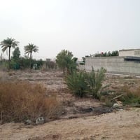 نص دونم • طابو زراعي • ابو كوصرا