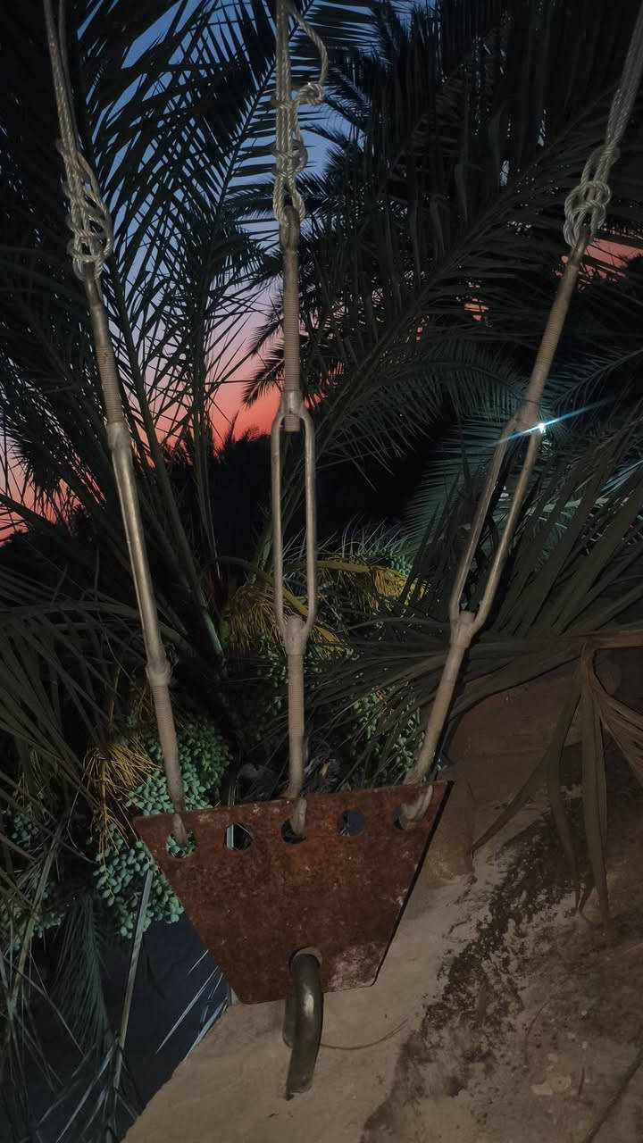 تحيه طيبه تم تفصيخ وتنصيب برج 21متر بابل الحمزه الغربي يتوفر كادر فتح وشد وصيانه الابراج باسعار مناسبه ***********
