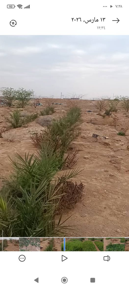 3دوانم مكان الزبير منطقة الدواجن السعر 45 وبيهن مجال تحتوي على ماء ارتواز كهرباء تبعد عن الشارع التبليط 30 متر 
مبروعه فسائل نخل متنوع وبيهن تقريب 7 برحيات قسم منهم محمل وباقي النخل منوع سدر مركب ***********
