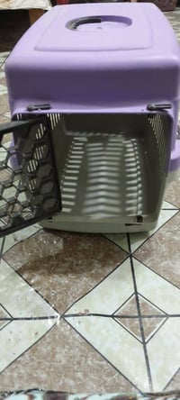 بيت قطة • اكسسوار قطط