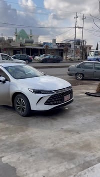 أرضيات BYD • جملة • بيج أسود