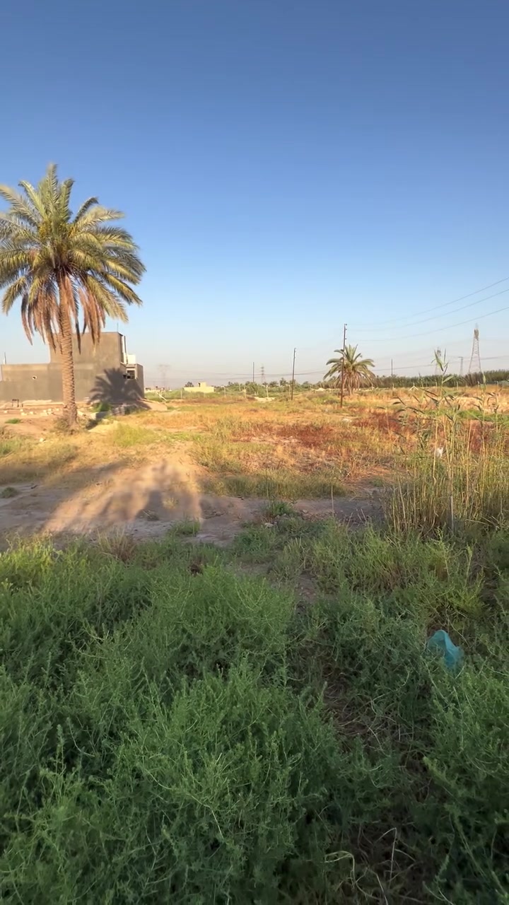 سلام عليكم اخوان قطع اراضي للبيع سلمان باك المدائن 6قطع المساحا على 200 وذا كلها 1200 
التواصل على ***********
التواصل على ***********
