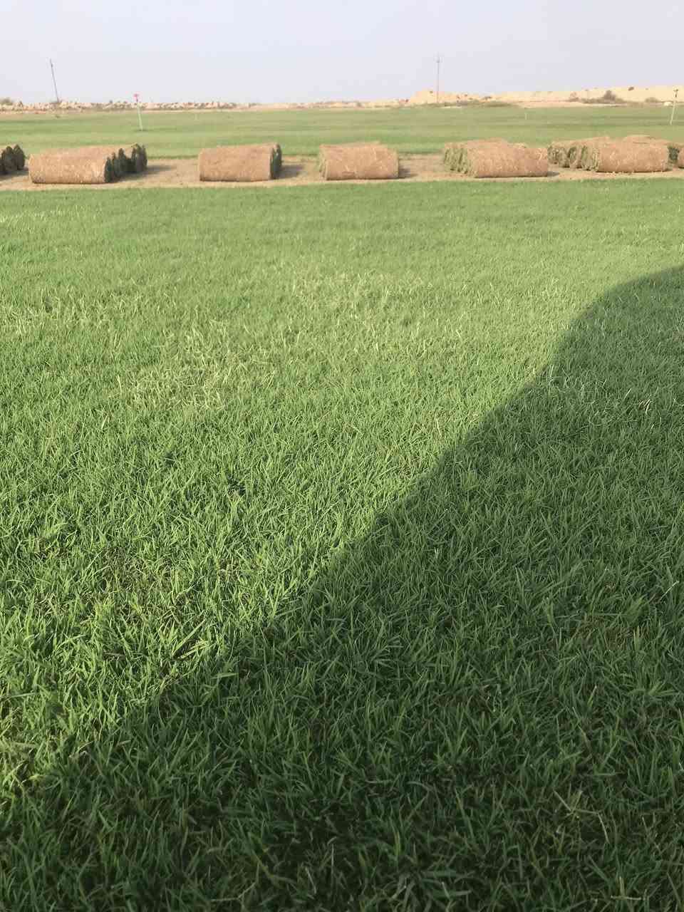 بمناسبة حلول شهر رمضان الثيل صار   سعر المتر المربع 1400 دينار فقط مع التوصيل.   اتصل يجيك الطلب لباب بيت التوصيل فوري ***********
