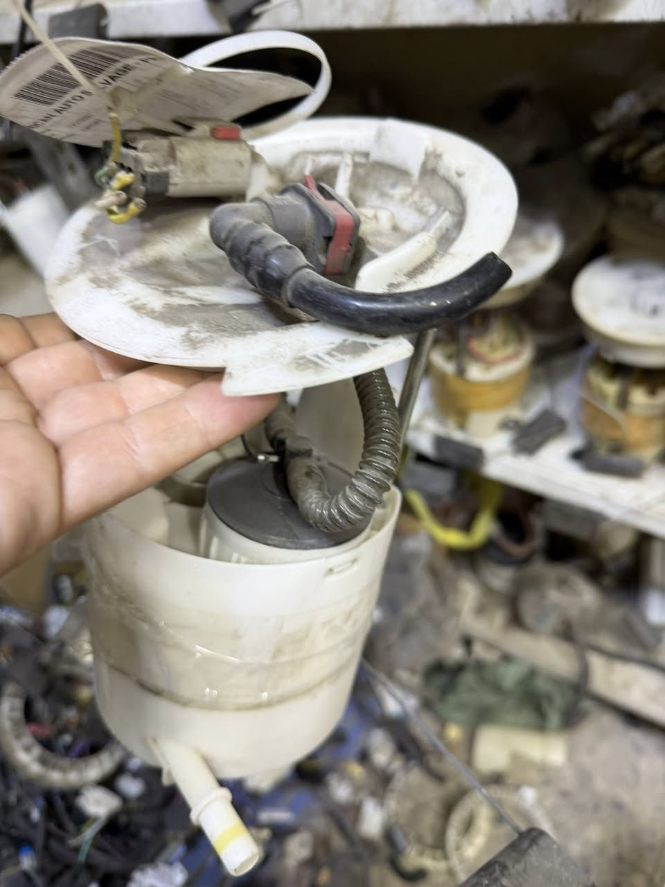 سلام وعليكم قاعده فيت بم موستنك 2023/2010  اصليه كامله حاويه وارد سعر 100 الف واصله الك متوفر جمله مفرد


**إذا كنت صاحب هذا الإعلان وتريد حذفه لأي سبب، رجاءا أرسل رسالة إلى الدعم الفني**