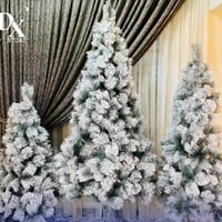 شجرة كرسمس • مكتب الأمير • جديدة الشط