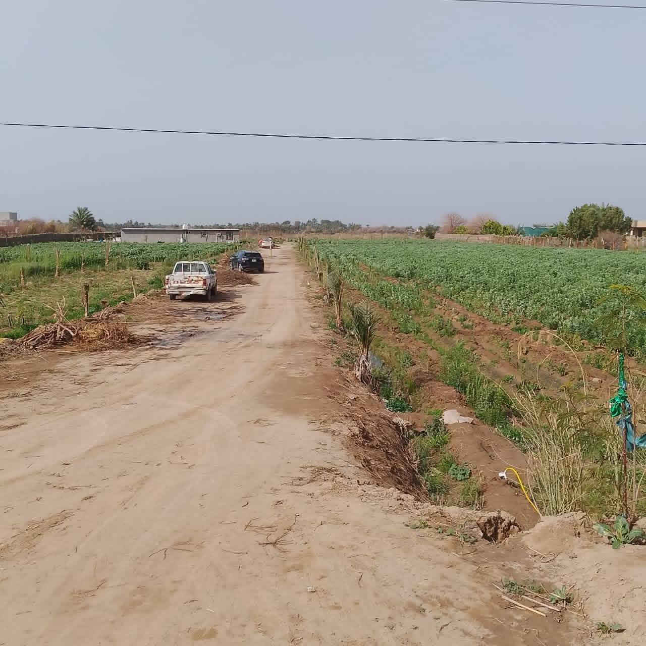 السلام عليكم أرض طابو سند ٢٥ شرط التحويل شاطيه المساحه ٤ دونم مسيجه الوجه ٤٥ والنزال ٢٣٠ موقعها واسط العزيزيه منطقه الدير الشارع تبليط صدرها على التبليط ونهايته الشط يعني ترهم سياحه وكلشي يعجبك وباقي التفاصيل الاستفسار على الرقم ***********
