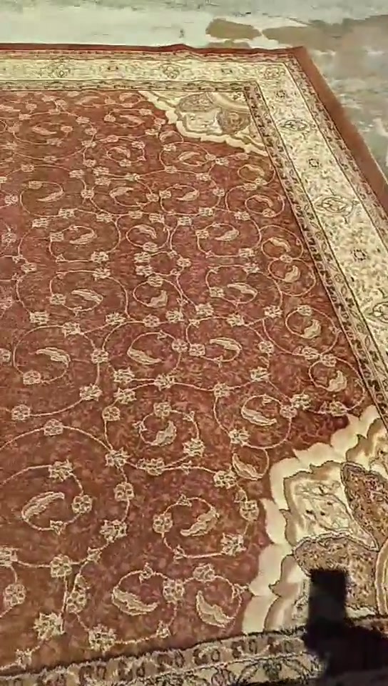 اغراض بيت أسعار مناسبه المكان رشيديه


**إذا كنت صاحب هذا الإعلان وتريد حذفه لأي سبب، رجاءا أرسل رسالة إلى الدعم الفني**