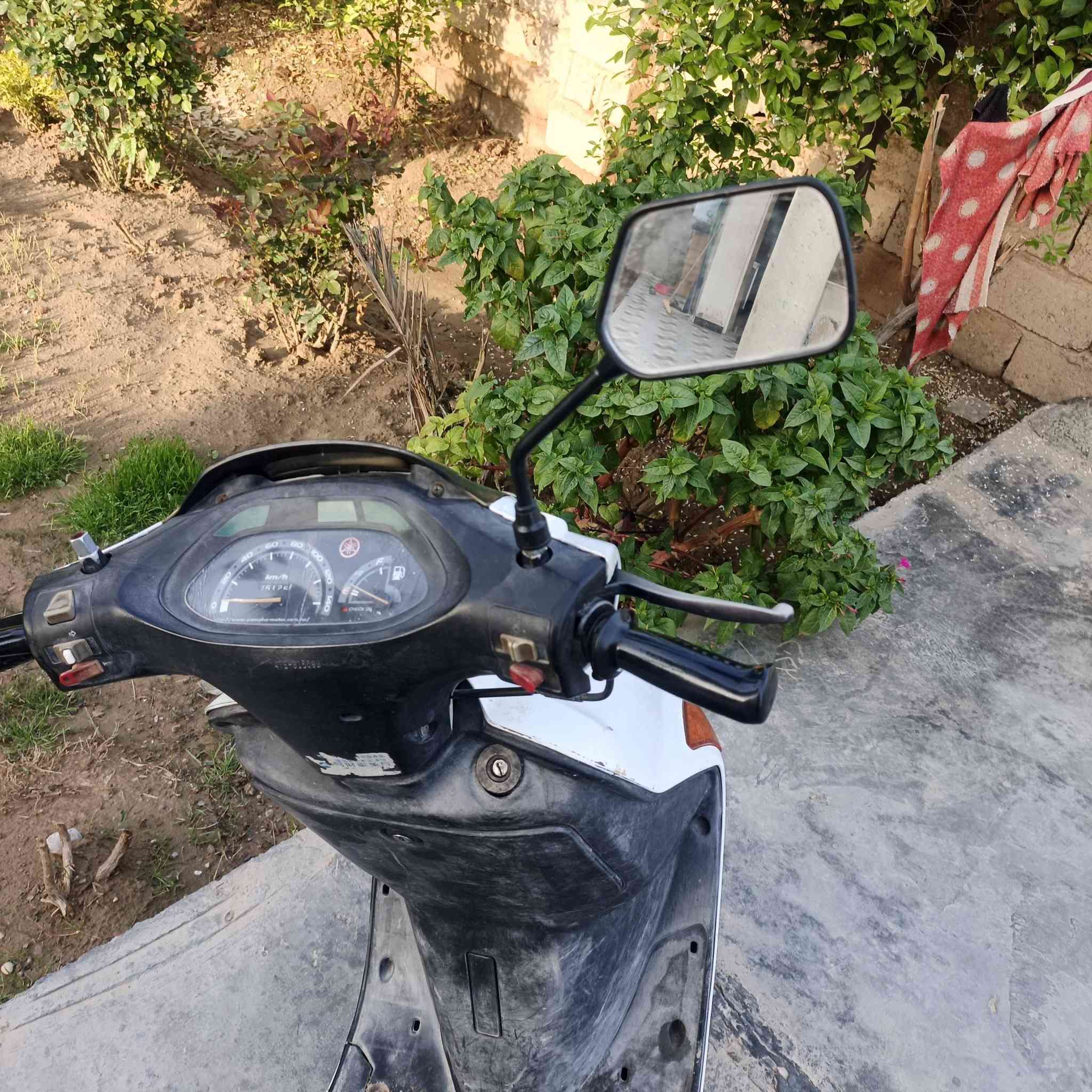 مو طور فراشه مكفولة اوراق سحب المكان ديالى شهربان650وبيهه مجال التواصل***********
