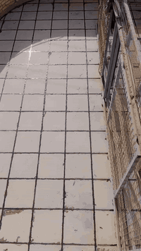 🔧 لتطبيك الشتايكر بالناصرية 🏠
📞 ***********(موجود واتساب)

🛠️ خدماتنا:

ترميم كافة السطوح 🧱

إعادة الماستك 🎯

💯 ما نستلم فلوس إلا إذا اقتنعت بالشغل
✅ ضمان.. جودة.. نوعية

ومن الله التوفيق 🌟

للتواصل: خاص أو على الرقم ☎️ ***********
