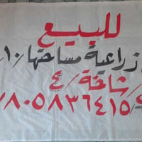 أرض زراعيه • بريج شاخه ٤ • ١٠دونم