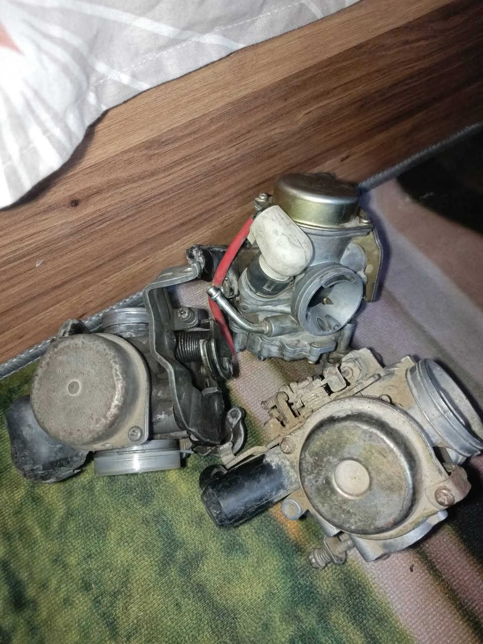 السلام عليكم كابريترات ٢ مال سكنس فحل وحده مال فراشه يرادلهن تنظيف قيم وأخذ مكاني  العبيدي ***********
