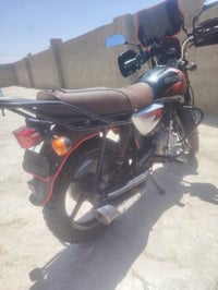 بوكسر جبلي • ٢٠١٩ • اوراق صوليه