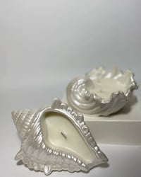 ديكور بيت • اكسسوار ديكور