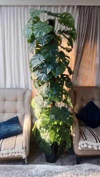 هيتر منظر فحم 25 صوبه غازيه 60 شغاله على فحص  صوبه زيتيه 40  فرن كهربا...