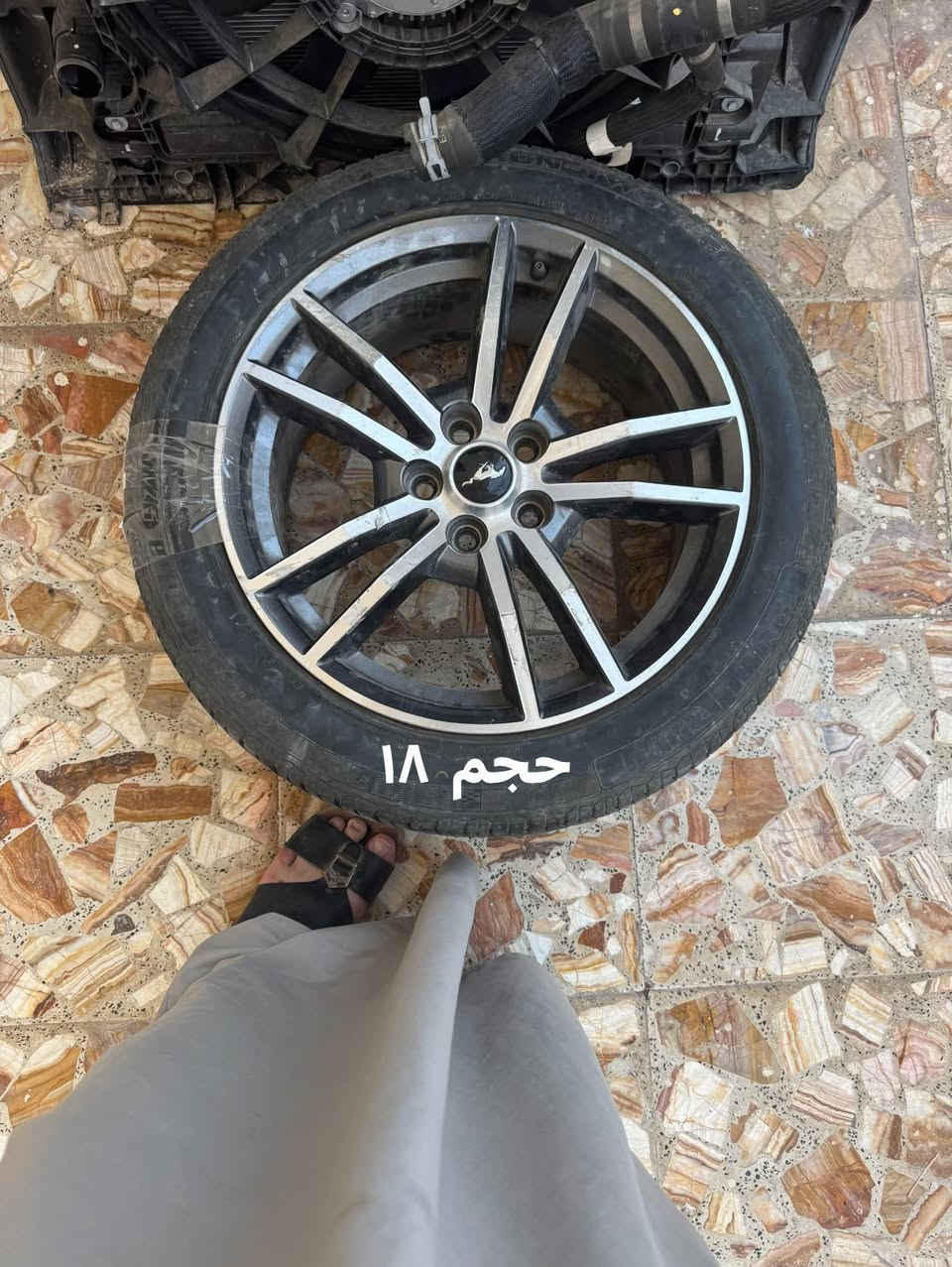 السلام عليكم 
عندي من كل نوع زوج للبيع الزوج بورقه
***********
