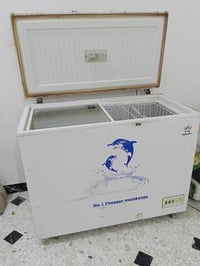 مجمدة بلادية