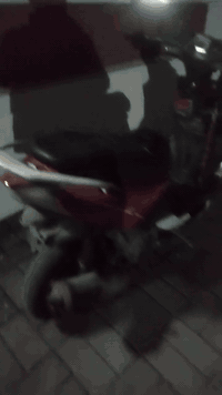 السلام عليكم دراجه للبيع بالرمادي شارع 40 ملعب الصوفيه السعر 185 واللي يريد يتصل على هذا الرقم *********** اذا كم راس الرابس
