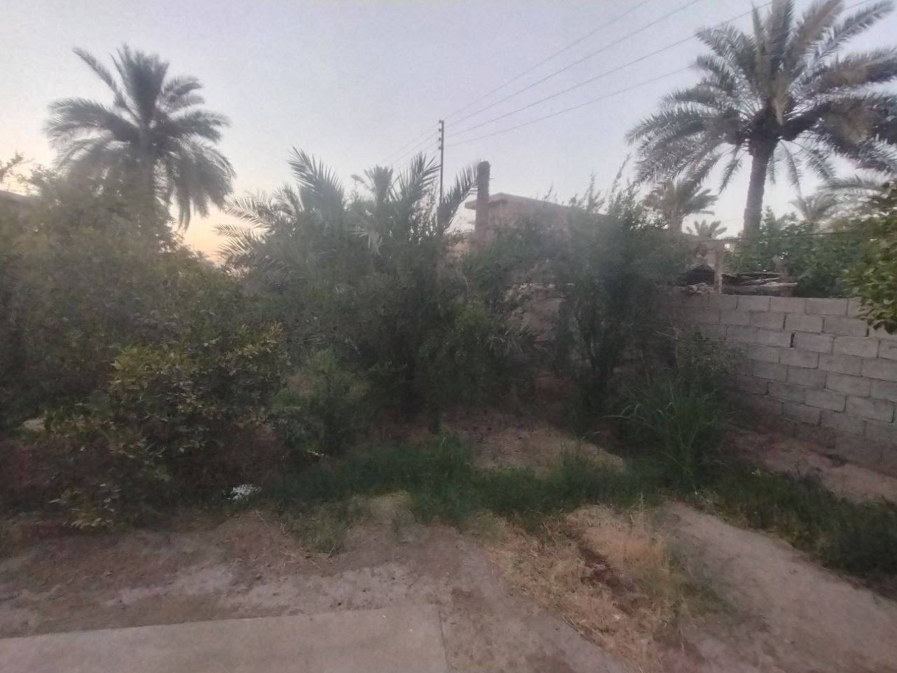 سلام عليكم بيت للبيع بمساحه 800متر  (زراعي) الموقع بغداد ناحية المشاهدة قرية البوفراج قرب جامع الانصار مع العلم البيت من اداخل مؤثث بسيراميك متكامل والسطح مغلف بشتايكر مع حديقة اماميه وخلفيه كامل للسكن الاستفسار الاتصال على الرقم ***********
