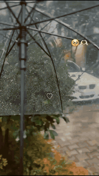 متوفرة مظلة شفافة مع كتابة اسماء او عبارات حسب الطلب متوفر توصيل داخل العامرية وحي الخضراء مجاناً للطلب خاص او الاتصال بالرقم ***********
