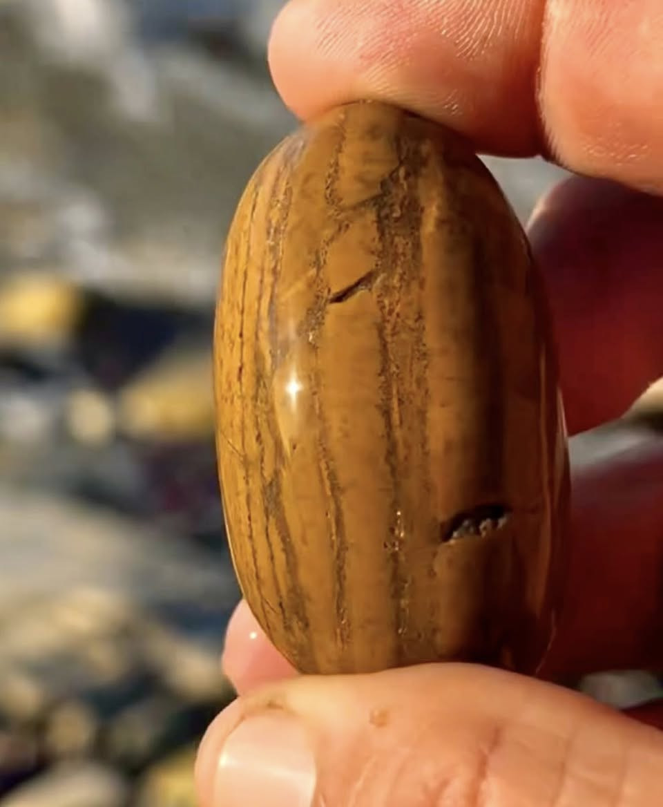 Dendritic Yellow Jasper displays Liesegang banding with concentric yellow and brown rings in a silica matrix. A dark band marks secondary mineral infiltration, with iron or manganese oxide dendrites branching through the stone.
#omarthemoroccanrockhound
#omarthemoroccantraveller
#امودو_على_الدراجات
#dendriticjasper
#omarsstones
#omarsbeach


**إذا كنت صاحب هذا الإعلان وتريد حذفه لأي سبب، رجاءا أرسل رسالة إلى الدعم الفني**