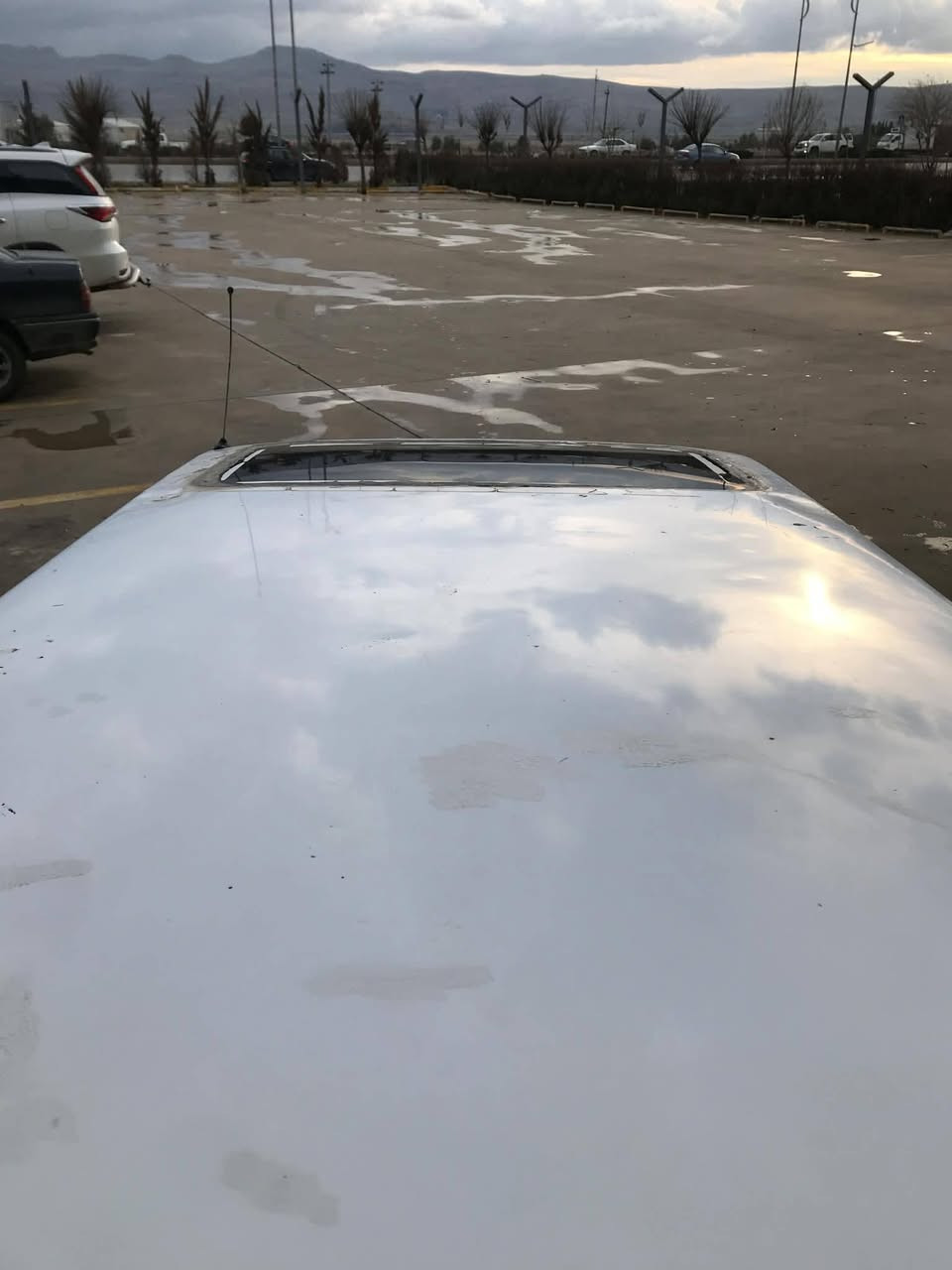 سەرەتا بە ناوی خوا
مازدا 1992 
گیرو مەکینە بە شەرت 
سەنەوی حاسیبە،بەشەرت 
دەعموو لیدراوی نییە 
سلایت 
گەرمی 
فلچەو ئاو فلچە 
ئیشارەت ولایت 
چوار تایەو ویل باشی لە ژیرە 
کامل کارەبایاتی ئیش ئەکات 
پیشو دوای کەپسە 
مەکینە 16 
بەنزین هەر ناخوات 
ماڵی دۆستە سەیارەکە 
سعری 10 وەوەقە و مجال برایانە
شوین سلیمانی 
*********** 
***********
