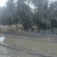 نص دونم 1250 للبيع الوجه 30 النزال 41 ونص الراشدية منطقة المراسمة قريب...