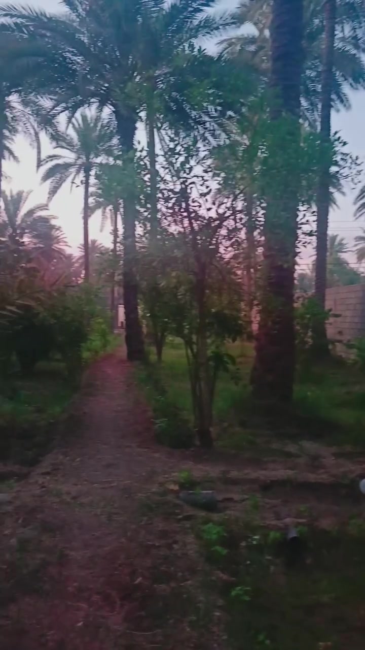 السلام عليكم مساحه 800 متر سند 25 تحويل اسم المشتري 16 متر كافه الخدمات تبعد عن شارع بغداد 500 متر تبليط كافه الخدمه موجوده سعر وباقي التفاصيل اكثر الاتصال***********
