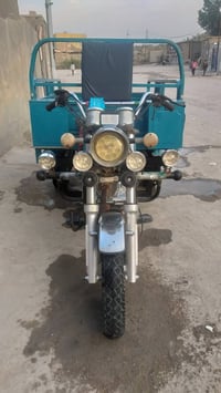 07810136788 شباب ستوته للبيع 2022