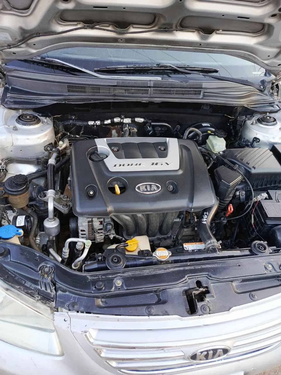 سيراتو صالون 2007 خليجي 1600
كير ومحرك مكفول مصار هواي من شادة 
كشنات جلد تدفئة تبريد شغالات
ضربتها جاملغ عكس السايق بدون دواخل صبغ من جهتين اثر جراد موجود سونار 
السعر ٧٢ وبيها مجال

***********
