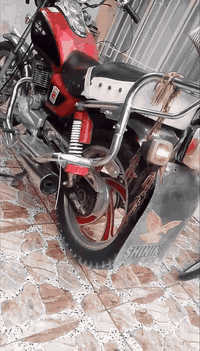 سلام عليكم.متاح دراجه جيني موديل 2017 ما مفتوحة شرط النظافه عامه  كهرباء كلها شغال نكره سلف + هندر ورقه وحده=سعر (375)  سكن ديالى ناحية السعدية. مراوسه هم يرهم  ***********
