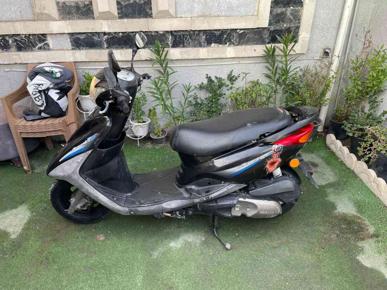 ببغاء بلادية كفر ومكينة مامفتوحة ضمان انطيك .. ربع نكرة ومكينة صافية ساعة.. كلشي شغال كهربائيات عدادات اشاير كلشي بلاد.. دبلات تخبل شلعة قوية معدل 110 واكثر.. زوج تايرات جدد وبريكات جدد خفيفات جدا..
اوراق كاملة وصل معرض بيهة..
ب950 ومجال بسيط وبيتي بغداد المنصور
***********
