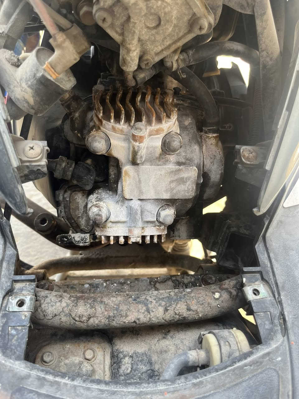 السلام عليكم بيع أو مراوس بدووون نطايح 
***********

 دراجه حيل نظيفه جيب وياك فيتر وافحص شغل 
واطلع
مكفوله (كفاله عامه)

إذا اكو  ان ماكس أو لد أو شمعه أو جبلي نظيفات

سكنس نازله من الرمبه قبل شهرين كور رياضي بلاد وبوشه
58 بلاد وكلجات رياضي بلاد هم من الرمبه وصالنصه رياضي بلاد بس مو هاي المشدوده البلاديه صورتها جوه
