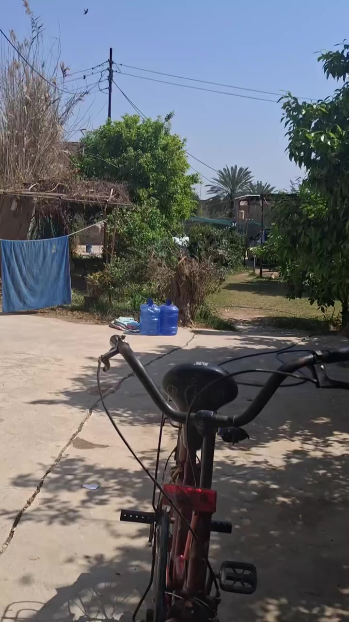 باسكل اللبيع اب 60 بيمجال 55المكان حلله جمجمه رقم الهاتف***********
