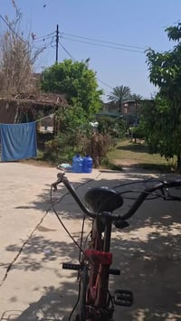 باسكل • ٦٠ • حله جمجمه