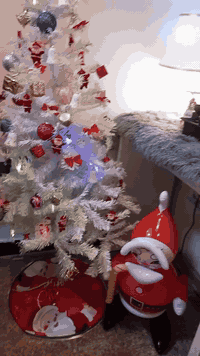 محتاجة وحده جوكر تشتغل على النسبة العنوان الاعظمية شارع الضباط شارع ال...