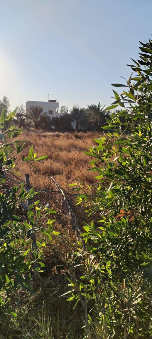 🔴 دونم للبيع
📍الموقع/بغداد مكاسب حي الجهاد قريب عل شارع الفلل  
الدونم يتميز موقعه يكون عل شارعين 
وبسعر مناسب 
🔴 للاستفسار والتواصل مكتب خالد النعيمي للعقار
سجاد/***********
