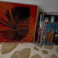 ديكور منزلي • بغداد