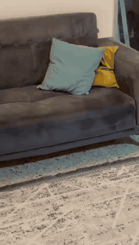 تخم للبيع نظيف جداً بسعر 325 الف
***********
