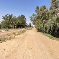 طابو زراعي • ٢٠ دونم • الرمادي اليرموك