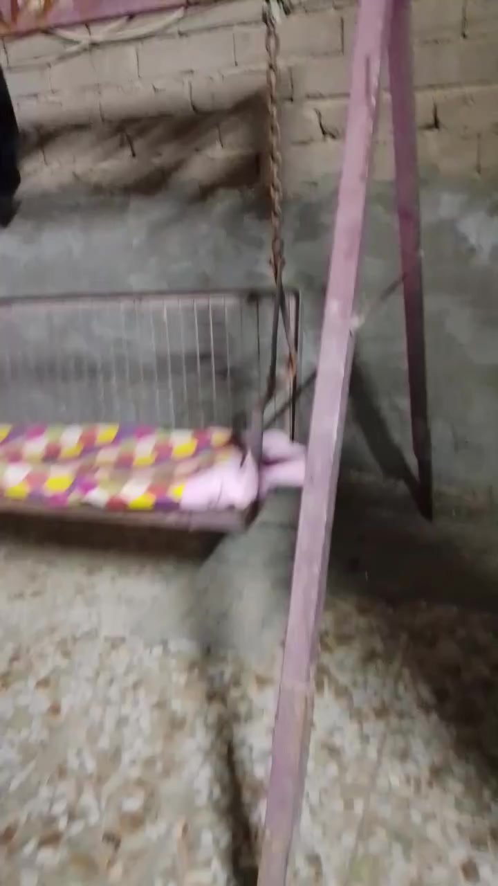 مرجوحة حجم كبير وكلش قوية وطباخ منضدي استيل للبيع


**إذا كنت صاحب هذا الإعلان وتريد حذفه لأي سبب، رجاءا أرسل رسالة إلى الدعم الفني**