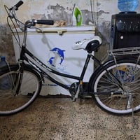 بايسكل بناتي • حجم ٢٤ • عمارة ميسان