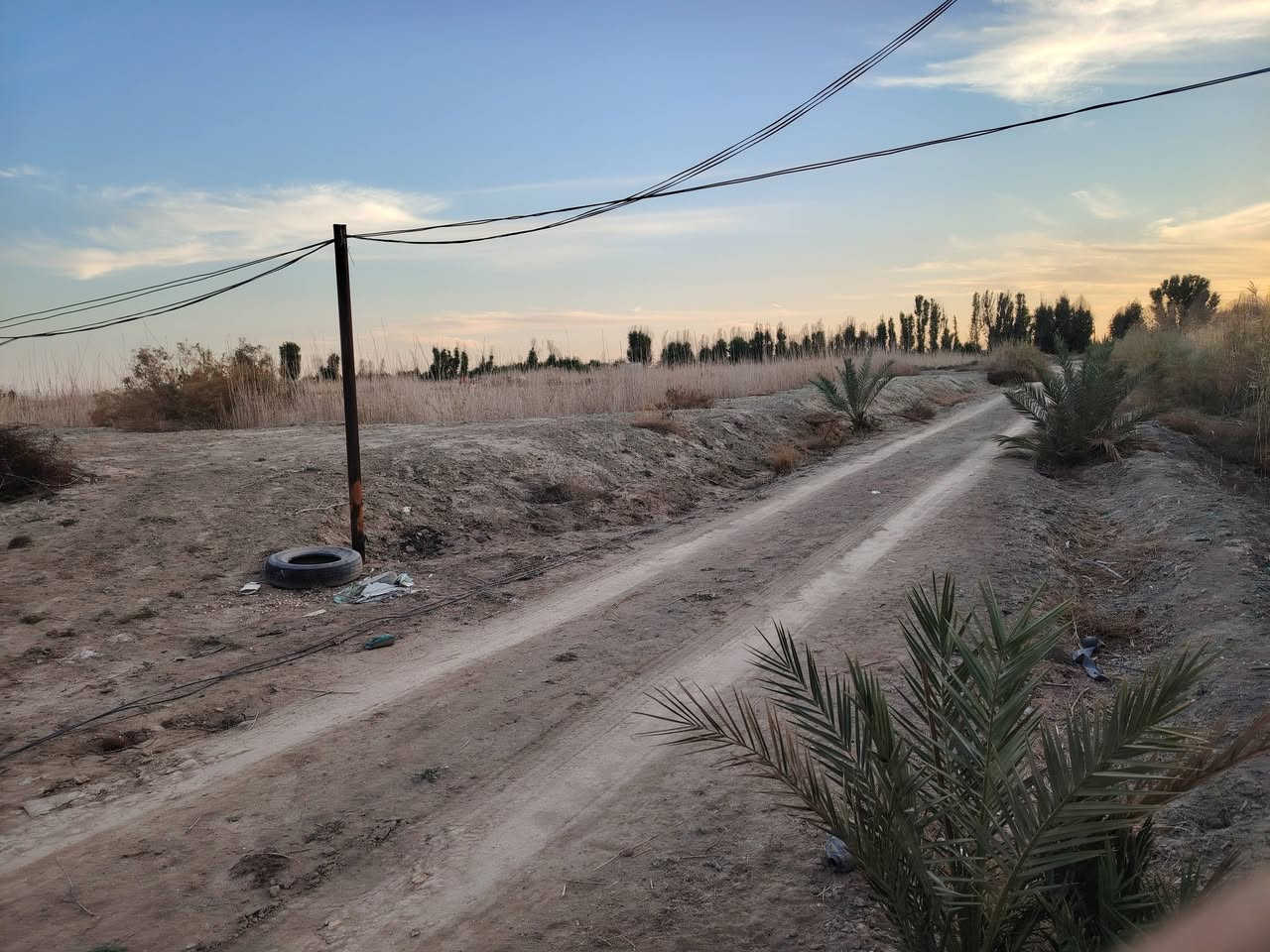 السلام عليكم احبتي
ارض زراعيه 6 دونم مسيجه بالكامل بي ار سي + كابرس 
يتوفر كهرباء ماي سقي من الشط ماي اساله الوفاء شوارع سبيس 
المكان بين السوك والفضليه نزلت النغيمشي وره سكه القطار تبعد عن الشارع العام 2 كيلو 
سعر الدونم 6 ملايين 
( رقم الهاتف  )
***********
***********
