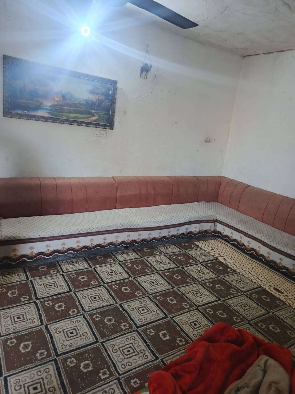 تخم البيع نضيف سعر 125


**إذا كنت صاحب هذا الإعلان وتريد حذفه لأي سبب، رجاءا أرسل رسالة إلى الدعم الفني**