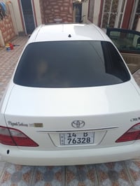 شاهين • ٢٠٠٦ • مكفوله