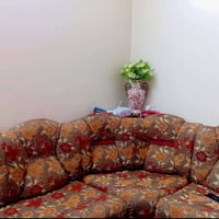 كنب عراقي • ٩م • وادي حجر