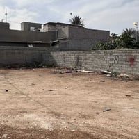 شارع البو سيود • ٢٤٥م • طابو زراعي