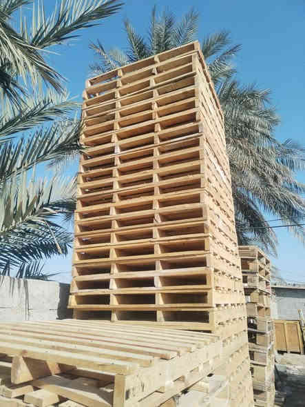 سلام عليكم سكيب العدد ٣٠٠ سكيبة بلكوت *********** كوت حي لحكيم الثانية
