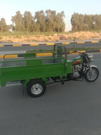 شباب ستوته البيع موديل واحد وعشرين اوراق ستوته خير من الله وشراي ينتصل...